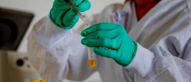 En el 2020 la OMS indicó que el cáncer es el es la principal causa de muerte en el mundo con casi 10 mil defunciones al año. Cáncer de hígado: 90% de los casos son consecuencia de la hepatitis B