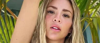 Sheyla Rojas reveló que no quedó embarazada en el primer intento del tratamiento Sheyla Rojas contó que no quedó embarazada pese a tratamiento: “Da un poco de frustración”