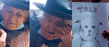 Abuelita busca a su mascota desaparecida con dibujo. Huancayo: adulta mayor busca a su "mejor amiga" desaparecida con la ayuda de un dibujo hecho a mano