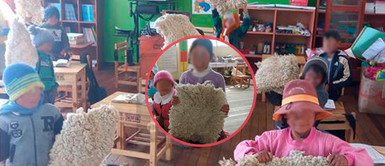 Huancayo: Escolares asisten a clases con pellejos de oveja para protegerse del frío Huancayo: Escolares asisten a clases con pellejos de oveja para protegerse del frío