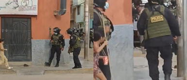 TikTok: Policías y vecinos unen fuerzas para cazar a una rata que atemorizaba una calle. TikTok: Policías y vecinos unieron fuerzas para atrapar a una rata