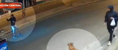 VMT: chofer atropella a transeúnte que intentaba dar de comer a perro callejero y se da a la fuga VMT: chofer atropella a transeúnte que intentaba dar de comer a perro callejero y se da a la fuga