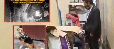 El dueño del inmueble Gustavo Vidarte amenazó con 'fierros' al perro Dueño de inmueble amenaza a su inquilino: "Voy a matar a tu perro" | VIDEO