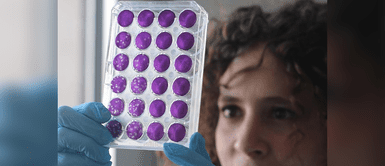 Las cifras de contagios han aumentado en las últimas semanas. Ómicron parece evadir los anticuerpos generados por las otras variantes