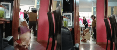 Perrito luce pasos de baile con su colcha favorita. Perrito baila "La culebrítica" y enamora a miles en redes sociales