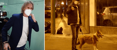 Nicolás Rey obsequió mascota a Ricardo Gareca. Ricardo Gareca se va del país con su perrita 'Almendra' rumbo a Argentina