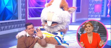 Magaly critica a Gino Pesaressi y lo compara con el Cuy Magaly Medina sobre salida de Gino Pesaressi de ‘En Boca de Todos': “El cuy tenía más carisma que él”