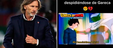 Ricardo Gareca ya no continuará al mando de la selección peruana Hinchas se despiden de Ricardo Gareca al estilo Dragon Ball Z: "Siempre te llevaremos en el corazón"