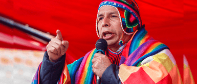 Castillo: “Ha llegado el momento de quitarles la mamadera a esos zánganos políticos tradicionales” Castillo: “Ha llegado el momento de quitarles la mamadera a esos zánganos políticos tradicionales”