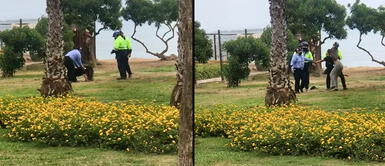 Costa Verde: serenos de Miraflores salvan la vida a joven que estaba al borde del acantilado Costa Verde: serenos de Miraflores salvan la vida a joven que estaba al borde del acantilado