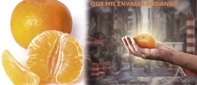La mandarina evita que se dé una deficiencia nutricional Combate el resfriado con 2 mandarinas al día