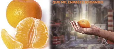 La mandarina evita que se dé una deficiencia nutricional La mandarina evita que se dé una deficiencia nutricional