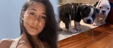 La hija de Melissa Klug vende mascotas a través de su cuenta oficial de Instagram Samahara Lobatón es criticada por vender perros: "Es la influencer mercenaria"