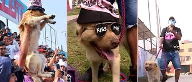 Perrito tiene cuatro años yendo al estadio con sus cuidadores. Oso, el perrito que 'alienta' junto a la hinchada de Sport Boys