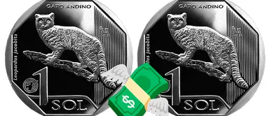 Moneda de S/. 1 diseño Gato Andino 2019: ¿Cuál es el nuevo precio y dónde venderlo en dólares? Moneda de S/. 1 diseño Gato Andino 2019: ¿Cuál es el nuevo precio y dónde venderlo en dólares?