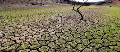 La humanidad consumió todo lo que el planeta puede producir en un año La humanidad consumió todo lo que el planeta puede producir en un año