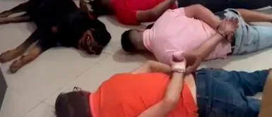 La policía brasileña encontró más de una tonelada de marihuana Perro se 'rinde' con sus dueños narcotraficantes tras operativo policial