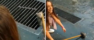 TikTok Viral: mujer recibe elogios de usuarios tras salvarle la vida a una rata TikTok Viral: mujer le salva la vida a una rata y es elogiada por transeúntes
