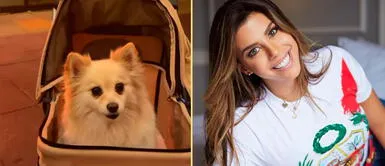 Alondra García Miró tuvo 4 años de relación con Paolo Guerrero, según exconcuñada. Alondra García Miró muestra tierno video de su perrito y cautiva en redes sociales