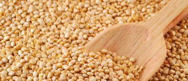 Quinua: ¿para qué es bueno el “grano de los incas”? Quinua: ¿para qué es bueno el "grano de los incas"?