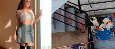 Janet Barboza defiende casos de maltrato mediante sus redes sociales. Janet Barboza denuncia caso de maltrato animal: "Necesitan apoyo para rescatarla"