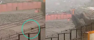 Niña rompe en llanto por su animalito de granja. SJL: Menor pide apoyo para salvar a su patita que se metió al penal