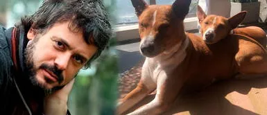 Diego Bertie siempre se consideró 'pet friendly' Diego Bertie: nana paseó a los perritos del actor tras su fallecimiento