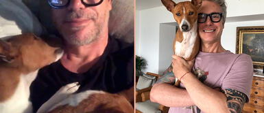 Las perrita de Diego Bertie se llaman Kali y Lua. Diego Bertie y la vez que sus perritos lo llenaron a 'besos': "¿qué haría sin mis hijitos?"