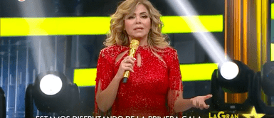 Gisela Valcárcel aclara cláusulas de ¿Cuánto rating hizo Gisela Valcárcel en su regreso a la TV con 'La Gran Estrella'?
