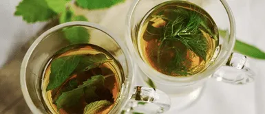 Conoce qué plantas medicinales ayudan a aliviar los signos del coronavirus. ¿Qué plantas medicinales ayudan a combatir los síntomas de la COVID-19?