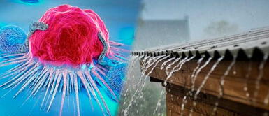 Contaminación ambiental: beber agua lluvia podría causarte cáncer Contaminación ambiental: agua lluvia ya no es potable y consumirla podría causar cáncer