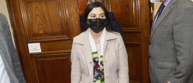 Yenifer Paredes Yenifer Paredes: ¿cuñada del presidente Castillo será colaboradora eficaz?