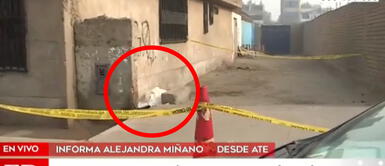 Hallan cadáver en Ate con escalofriante mensaje Hallan cadáver en Ate con escalofriante mensaje