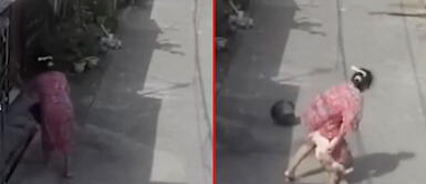 Gato tuvo peculiar reacción con señora maltratadora. Mujer echa agua a un indefenso gato y este 'cobra' venganza hasta verla en el suelo