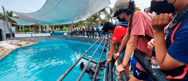 Parque de las Leyendas ofrece actividades gratuitas por el Día del Niño Parque de las Leyendas ofrece actividades gratuitas por el Día del Niño