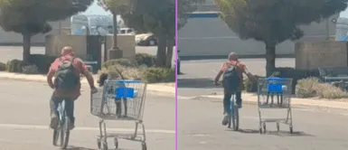 Perrito se mostró tranquilo durante su paseo en la calle. Hombre lleva a su perro en carrito para que no se quede solo en su hogar