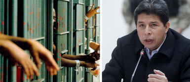 Gobierno evalúa mandar a presos a construir carreteras Convictos pagarán comida “con el sudor de su frente”: Gobierno ya evalúa mandarlos a construir carreteras