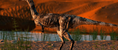 Sequía extrema deja al descubierto huellas de dinosaurios Sequía extrema deja al descubierto huellas de dinosaurios de hace 113 millones de años