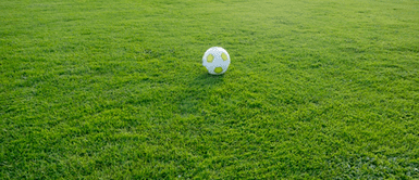 Mundial Qatar 2022 ¿Sabe qué equipos son los favoritos para el Mundial de este año?