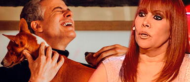 Magaly Medina preocupada por perritos de Diego Bertie Magaly Medina preocupada por el cuidado de los perritos de Diego Bertie