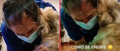 El perrito comenzó a llorar frente a su amo. Señor le pisa una pata a su mascota y este can rompió en llanto desgarrador