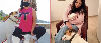 Tula Rodríguez sufre la perdida de su perrita Gema Tula Rodríguez pierde a su perrita: “Gracias por tanto amor regalado” | FOTO