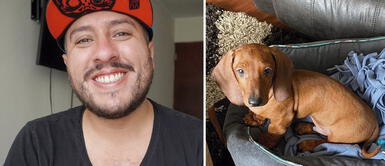 Cholo Mena dedica emotivas palabras a su nueva mascota Cholo Mena causa ternura entre sus seguidores por su nueva mascota: "Te amo, hijo mío"