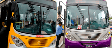 SJL: empresa La 50 cambia de ruta para dar paso al Corredor Morado SJL: empresa La 50 cambia de ruta para dar paso al Corredor Morado