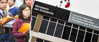 Los peruanos podrán postular en la nueva convocatoria laboral del Sernanp. ¿Buscas trabajo? Sernanp lanza convocatoria laboral con sueldos de hasta 7.000 soles