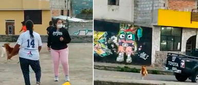 El perrito trató de escapar con el enorme pollo. Perrito aprovecha distracción en pollada bailable y se va corriendo con enorme ave