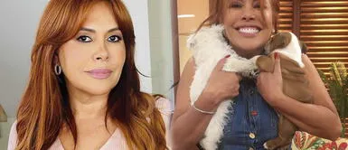 Magaly Medina recordó a su perrito Fonsi. Magaly Medina recuerda la muerte de su perrito: "Era mi mascota amada" | VIDEO