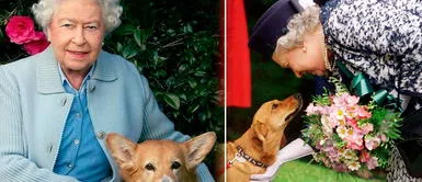 La reina Isabel II llegó a tener 30 perritos corgi raza en 14 generaciones. Reina Isabel II y su amor por los perritos: conoce más sobre sus 30 mascotas reales
