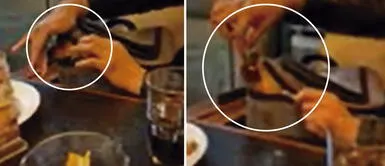 Perrito come pollo a la brasa a escondidas Perrito se esconde en una mochila para comer a escondidas su rico pollo a la brasa