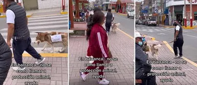 Barranca: sujeto se vende a su mascota y camina por la ciudad en busca de postores Barranca: sujeto "vende" a su mascota y camina por la ciudad en busca de postores